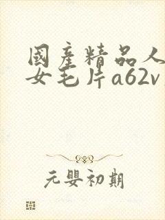 国产精品人妻熟女毛片a62v久久