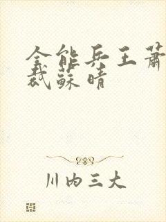 全能兵王萧晨总裁苏晴