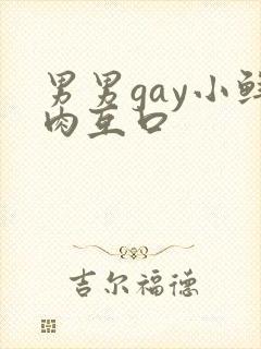 男男gay小鲜肉互口