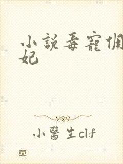 小说毒宠佣兵王妃