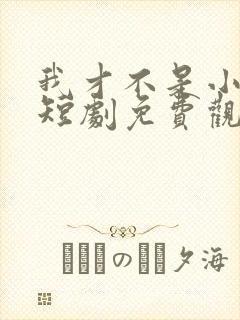 我才不是小可怜短剧免费观看全集封面