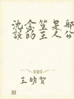 沈念笙是哪本小说的主人公