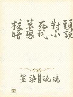 校草死对头竟然暗恋我小说免费阅读