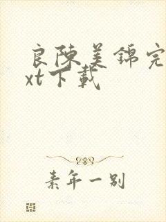 良陈美锦完本txt下载封面