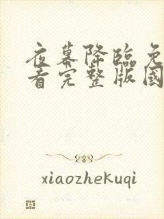 夜幕降临免费观看完整版国语高清