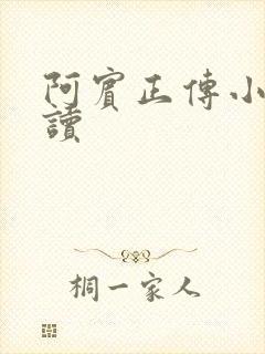 阿宾正传小说阅读封面