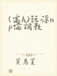 (高h)玩淫np伦调教