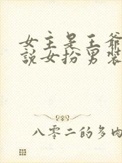 女主是王爷的小说女扮男装封面