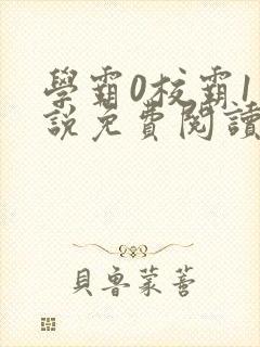 学霸0校霸1小说免费阅读