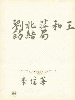 刘北萍和王长举的结局封面