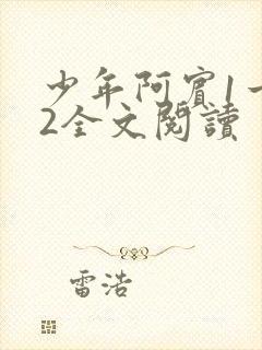 少年阿宾1一72全文阅读