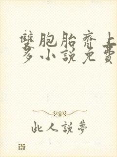 双胞胎齐上阵许多小说免费阅读