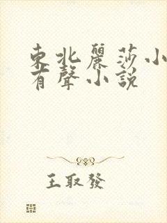 东北丽莎小苮儿有声小说封面