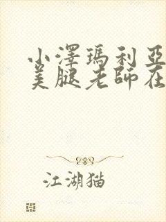 小泽玛利亚丝袜美腿老师在线视频