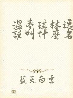 温梦琪林逸飞小说叫什么名字