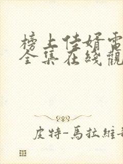 榜上佳婿电视剧全集在线观看完整版高清