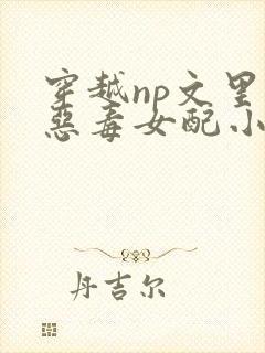 穿越np文里的恶毒女配小说