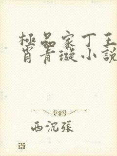 极品家丁王二狗肖青璇小说