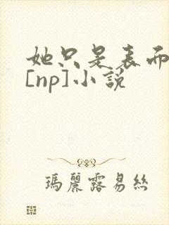 她只是表面清纯[np]小说