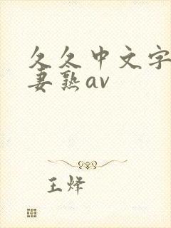 久久中文字幕人妻熟av