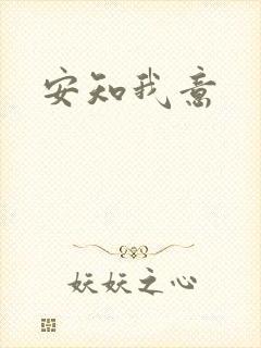 安知我意