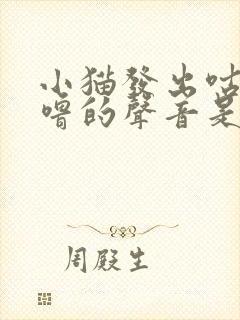 小猫发出咕噜咕噜的声音是怎么回事