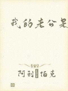 我的老公是冥王封面