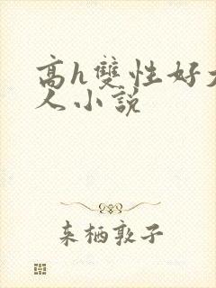 高h双性好大黑人小说