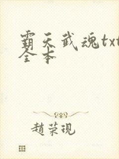 霸天武魂txt全本