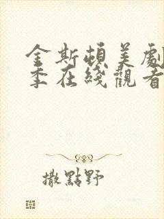 金斯顿美剧第三季在线观看免费全集