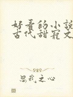 好看的小说言情古代甜宠文封面