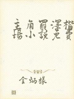 主角罗泽楷的官场小说免费阅读封面