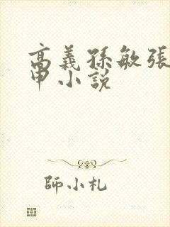 高义孙敏张红王申小说封面