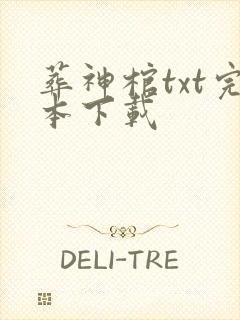 葬神棺txt完本下载