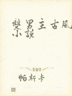 双男主古风玄幻小说