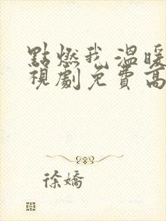 点燃我温暖你电视剧免费高清完整版封面