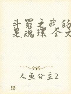 斗罗之我的武魂是魂环 全文封面