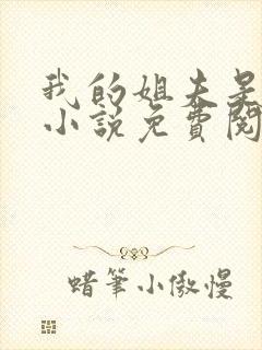 我的姐夫是太子小说免费阅读全文封面