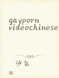 gaypornvideochinese封面