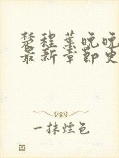 楚程叶晚晚小说最新章节更新时间封面