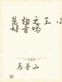 万相之王 小说好看吗