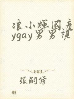 浪小辉国产gaygay男男视频