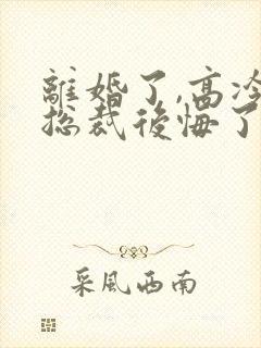 离婚了,高冷女总裁后悔了封面