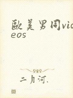 欧美男同videos封面