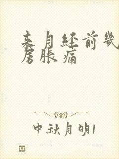 来月经前几天乳房胀痛