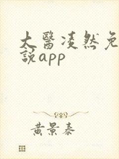 大医凌然免费小说app封面