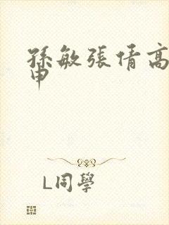 孙敏张倩高义王申