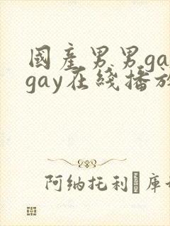 国产男男gaygay在线播放