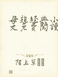 母亲经典小说全文免费阅读封面