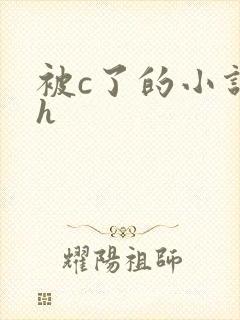 被c了的小说高h